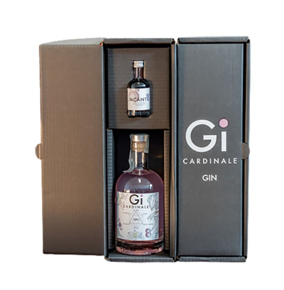GI Cardinale e Incanto – Gin di Visciola
