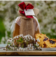Pandoro Artigianale alle Visciole - Cardinale
